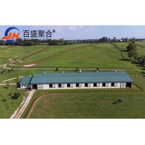 Best Steel Structural Fabrication Construction Poultry House Shed With Aluminum Alloy Window wholesale