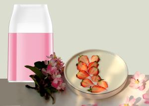 Best Miracle Exclusives Non Electric Yogurt Maker For Household No Harmful Additive wholesale