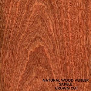 Best Paneling And Doors Africa Natural Sapele Wood Veneer Flat Cut Crown Grain AAA Grade wholesale