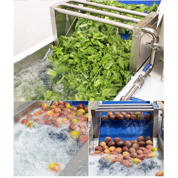 2.6KW Impurity Filter Fruit And Vegetable Washing Machine Citrus Apple