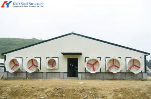 Steel Structure Broiler Chicken House with Automated Feeding System