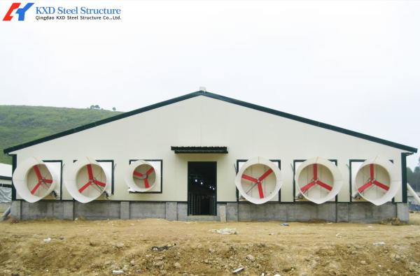 Cheap Steel Structure Broiler Chicken House with Automated Feeding System for sale