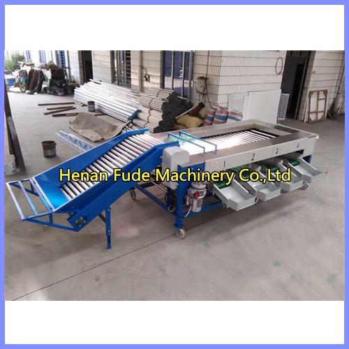 Cheap Potato sorting machine, potato grading machine for sale