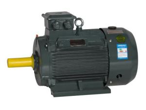 High Efficiency High Torque Motor Variable Frequency Speed Regulating