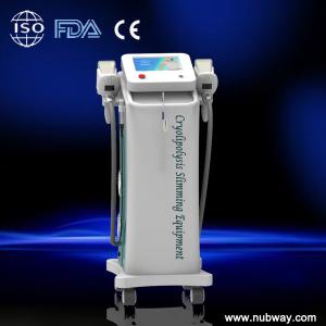 China cryolipolysis weight loss beauty machine,body slimming cryolipolysis equipment on sale