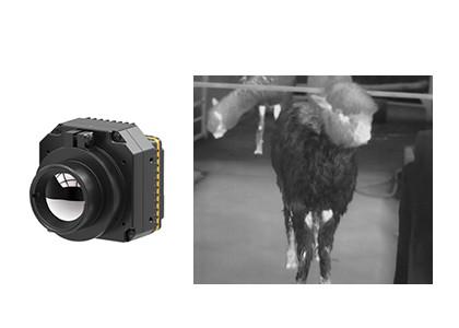 Cheap Uncooled Infrared Camera Module LWIR 640x512 17μM For Security And Monitoring for sale