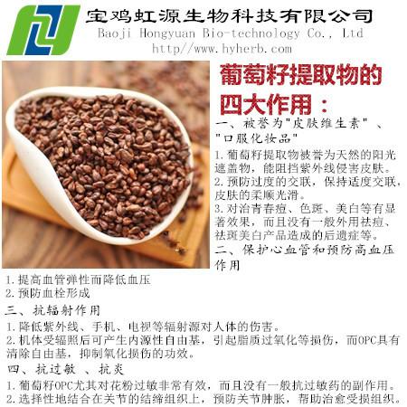 Cheap Grape Seed Extract Vitis Vinifera for sale