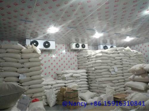 Cheap seed cold storage for sale