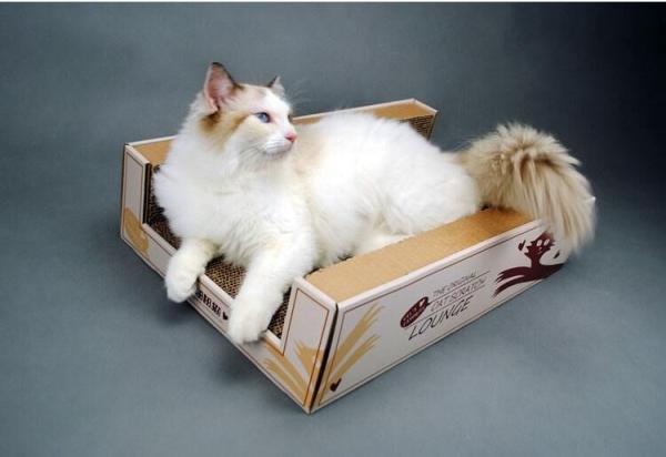 Cheap Various Size Cat Scratch Box Cardboard Silver Vine Practice Strong Claws for sale