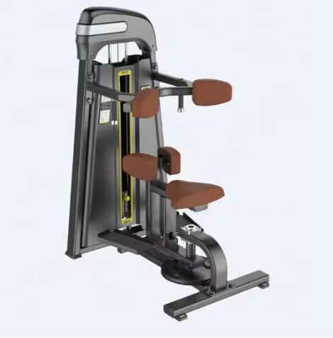 Cheap Best saling and high quality Gym Rotary Torso Exercise Machine For Chest Workout Training for sale