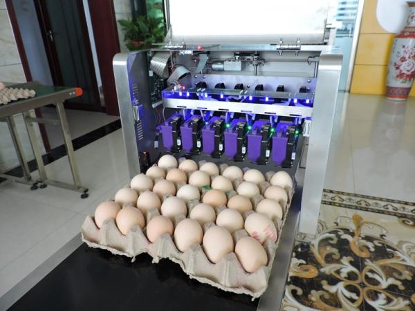 Cheap High Resolution With 600 DPI And High Speed Operation  Egg Jet Printer for sale