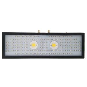 China Environmental LED Plant Grow Light Light Intensity And Spectrum Adjustable on sale