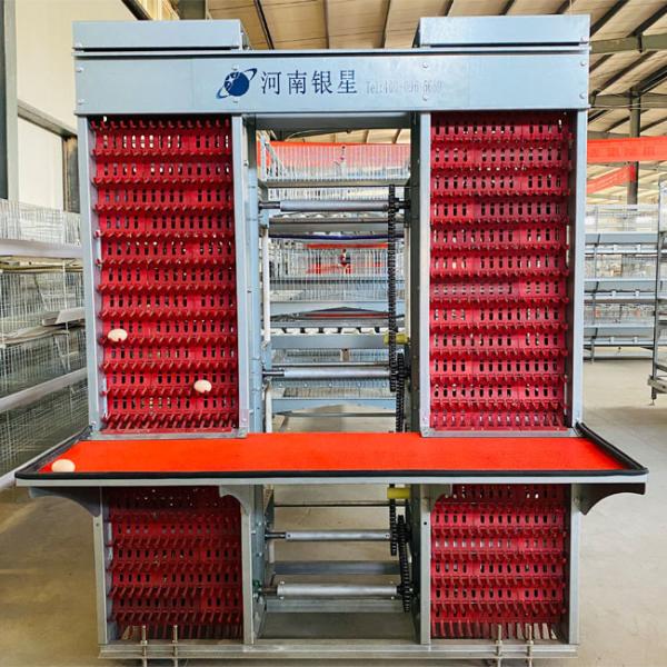 H Frame Broiler Cage HDG Battery Layer Chicken Cage System