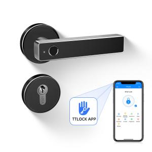 Best Smart Bluetooth Door Lock Via Wifi App Mechanical Keys Unlock For Home Use wholesale
