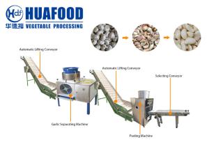 China Garlic Processing Machines / Garlic Peeling Machine Production Line on sale