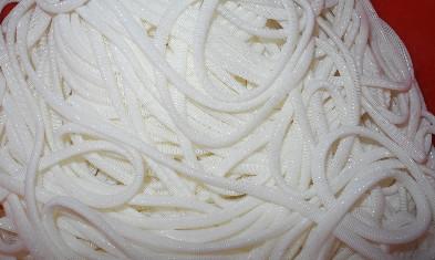 Cheap Large Polyester Spiral Mesh Monofilament Polyester Mesh White And Blue for sale