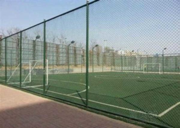 Cheap Plastic Coating Flat Surface Metal Chain Link Fence for sale