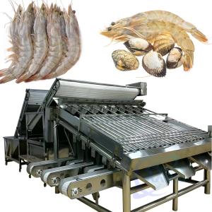 Best Shrimp size sorting machine Fish scale cleaning and processing line production line sorting machine wholesale