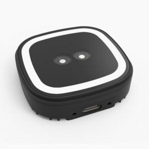 Best JP308 3D Structured Light Camera Module Palmprint / Palm Vein Dual-Modal incorporating a high-performance ISP and AI module wholesale