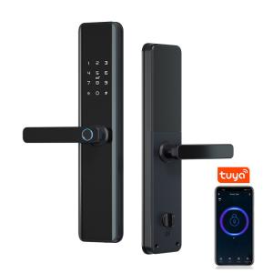 China TTlock Smart Home Door Lock M1 Door Access Control Anti-theft Lock Biometric Fingerprint Lock on sale
