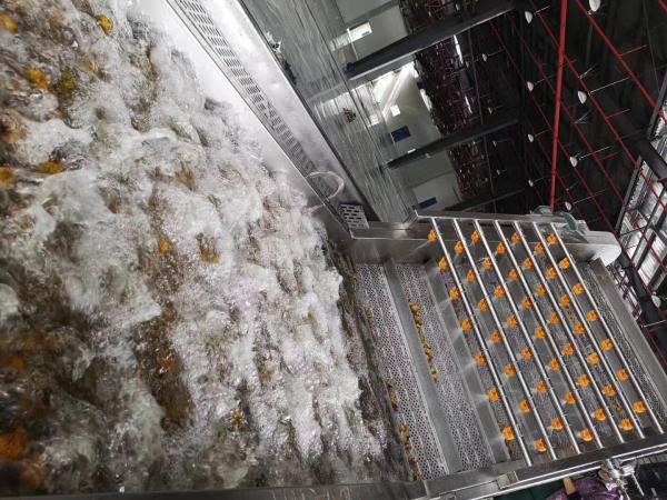 Cheap PLC Control 220V 3T/Day Grape Juice Processing Line for sale