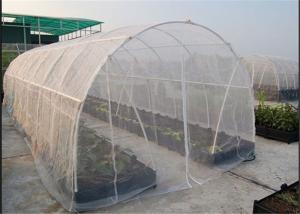 Best High Efficacy 80gsm Lightweight Insect Window Net 30 Mesh 3m Width wholesale
