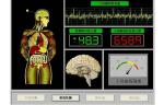 Franch Version Quantum Therapy Machine , Quantum Resonance Analyser