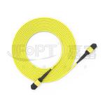 10 Gigabits MPO patch cord Fast Connection for optical signal connection in