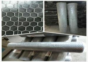 Best green chicken wire/ chicken wire for sale/hex wire mesh/hexagonal wire netting/ poultry wire/chicken netting wholesale