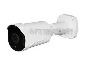 Hidden 40M Ir Range High Definition IP Camera For Road / Parks
