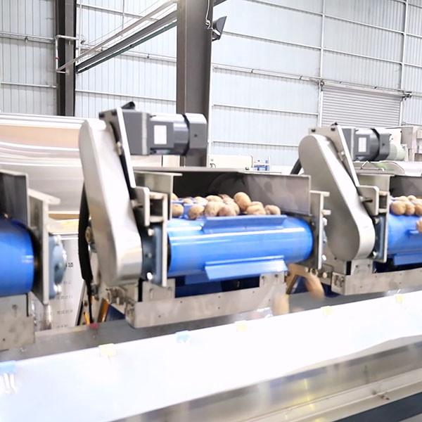 Cheap 1 Ton Output 380V Walnut Shelling Machine Auto Production Line With CE Certification for sale