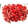 20000SHU Facing Heaven Pepper 8% Moisture Dried Hot Chili Single Herb for sale
