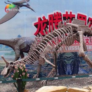 Best Park Decoration Dinosaur Fossil Replicas Life Size Tsintaosaurus Skeleton Sunproof wholesale