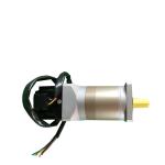 Customized Brushless DC Motor BLDC Drip Proof With Planetary Gearbox