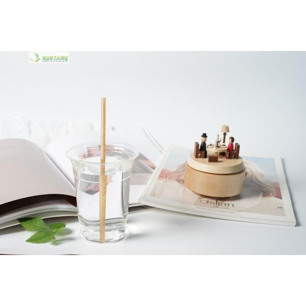 2oz to 32oz Compostable PLA Cups