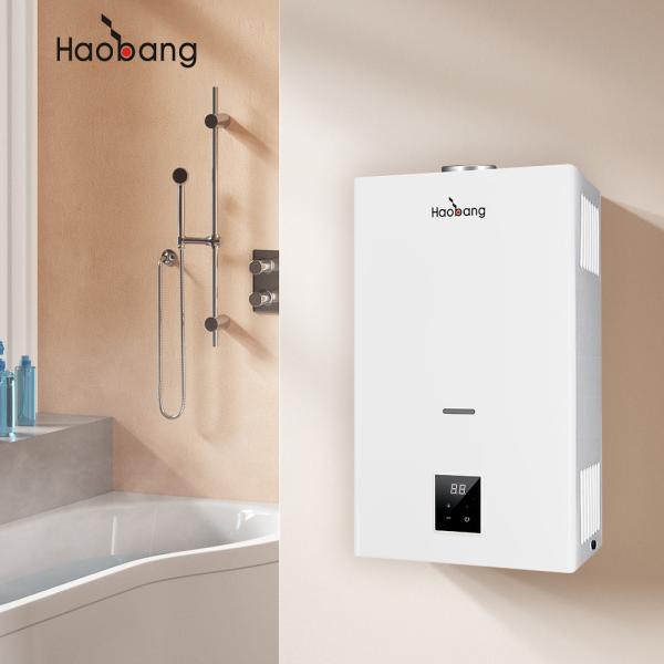 Cheap Energy-Saving LPG Gas Water Heater with Constant Temperature White Panel Color for sale