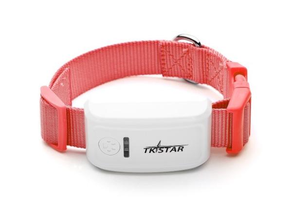 Cheap Newest pets gps tracker with gsm /gprs /web tracking for sale