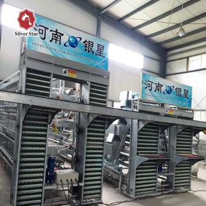 Best A / H Type Chicken Egg Collection System , 3-6mm Poultry Processing Equipment wholesale
