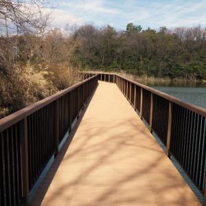 Composite WPC Floor Decking Tile Fire Resistant And Anti-Slip