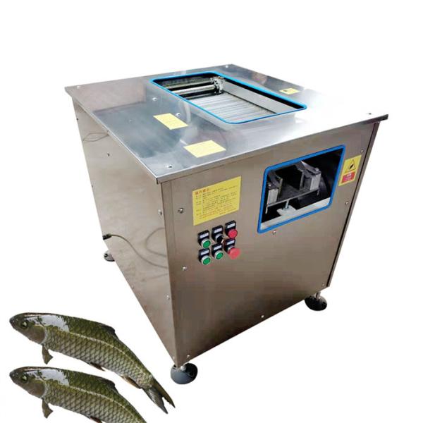 Cheap 220V Fish Slicer Meat Processing Machine 0.6t/ H for sale