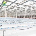 Best 5.8m Length Commercial Aquaponics System Soilless Culture Fish And Plant System wholesale