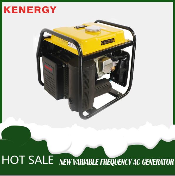 Cheap Portable gasoline generator AVR variable frequency generator 500 W for sale