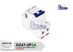 2 Amp B Curve Circuit Breaker 2Pole Type C Mcb Tripping Curve