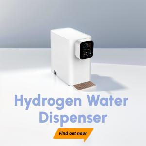 China High Purity Hydrogen Water Machine With DuPont Proton Membrane WEIZI on sale