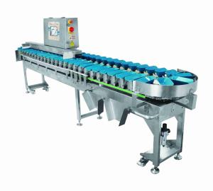 Smart Small Size Tray Fruit Sorting Machine One Piece Weighing Machine