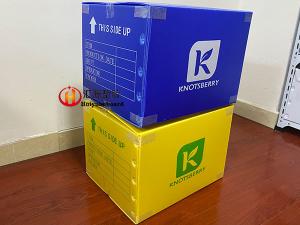 Best Heavy Duty Printable Collapsible Corrugated Plastic Boxes wholesale