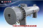 Best Freestanding Industrial Electric Water Heater With Remote Control Function wholesale