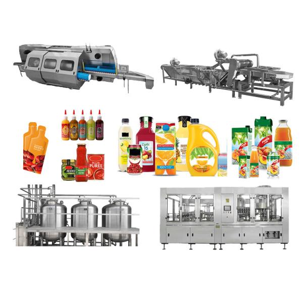 Cheap Customized Industrial Juice Beverage Jam Puree Processing Line Machine For Grape Processing Plant for sale