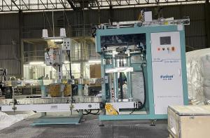 China 5KW ODM Pharmacy Pill Small Bagging Machine AC220V ODM Two Side Sealing on sale