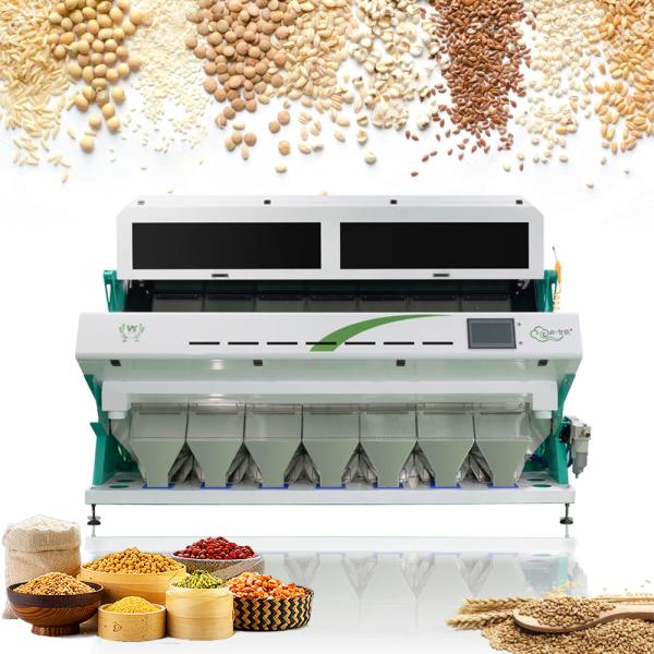 Cheap Wheat Paddy Corn Soybean Grain Color Sorter Machine High Precision for sale